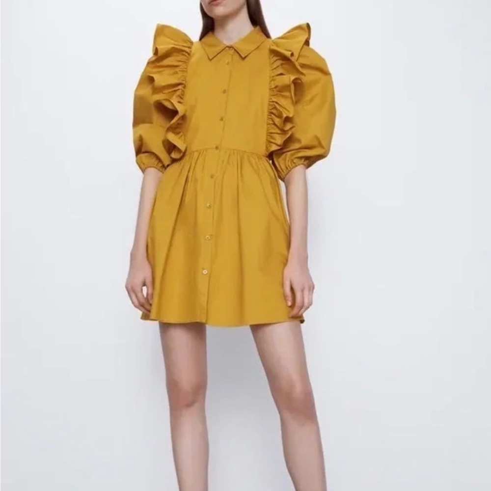 NWT Voluminous Ruffled Zara Dress
